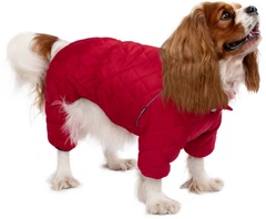 Комбінезон для собак Barksi Textile XXS Червоний (2007033074228)