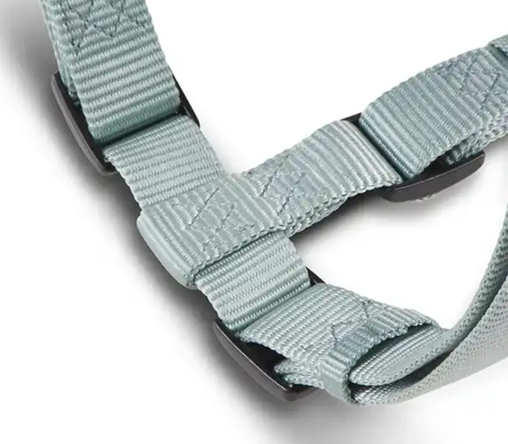 Анатомічна шлейка для собак Wolters Professional XL 75-100 см / 25 мм Зелений (30475)