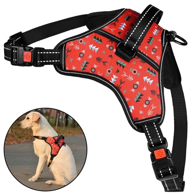 Barksi Шлея для собак BronzeDog Urban Comfort інки S 32-38 см / 40-52 см 81/1336/T