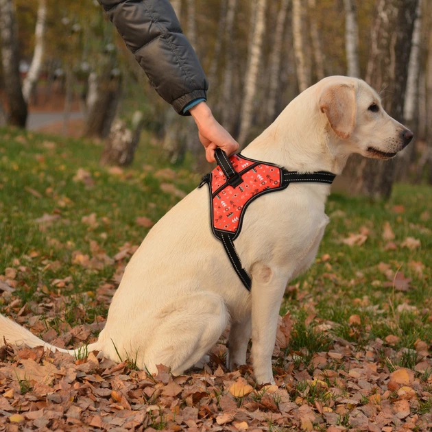 Barksi Шлея для собак BronzeDog Urban Comfort інки S 32-38 см / 40-52 см 81/1336/T