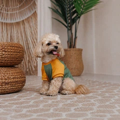 Футболка для животных Pet Fashion Kent XS2 (4823082446162)