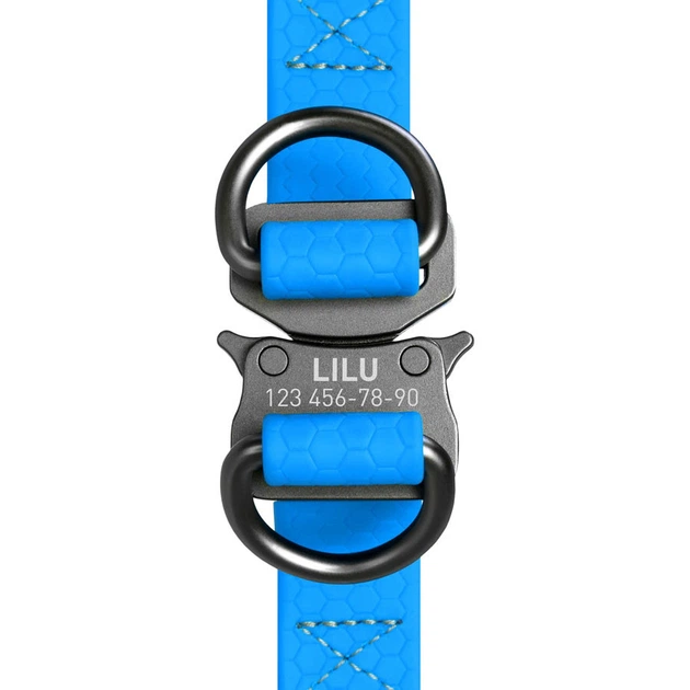 Шлея для собак водостійка WAUDOG Waterproof, з QR-паспортом, металічна пряжка-фастекс, Ш 25 мм, Дов 60-90 см блакитний