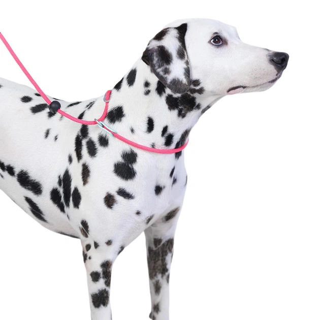 Без бренда Тренувальний повідець Maobawan Dog P-Rope Anti-Burst для собак, мотузка для грудної шлейки для малих, середніх і великих собак P Chain Y19 чорного кольору