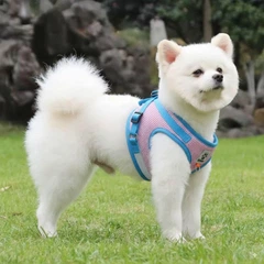 Повідець для собак і кішок S Pink-Blue 4PawsStar, Chansin (115005291)
