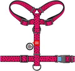 Шлея для собак Collar анатомічна Н-подібна WAUDOG Nylon з QR-паспортом, пластиковий фастекс, S, Ш 15 мм, A 30-40, B 30-50 малюнок "Кавун" (5613)