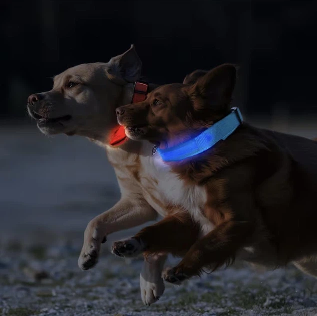Світлодіодний нашийник для собак Petify Luminous LED Collar L блакитне небо, що світиться в темряві, 3 режими світіння, видимість до 100 м, регульований 41-54 см, поліестер, від батарейки, Арт. XN4074