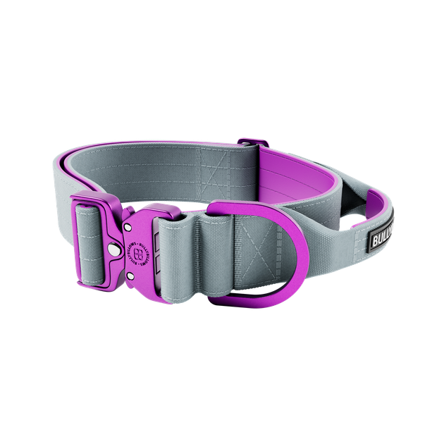 Тактичний широкий полегшений нашийник із ручкою для собак BullyBillows Lighter Combat Collar Handle 5 cm S: 50 мм, ОШ 40-50 см Сірий