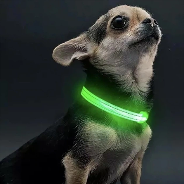 Світлодіодний LED нашийник Lesko Green S USB для собак і котів світиться
