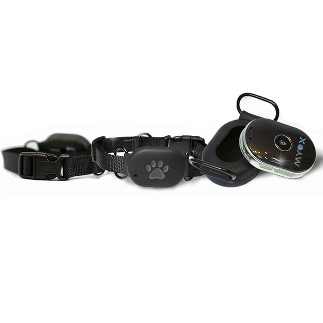 Без бренда GPS нашийник для собак MYOX MPT-60DB (чорний)