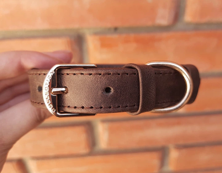 Шкіряний нашийник Lockdog L(45-55 см) 000239964