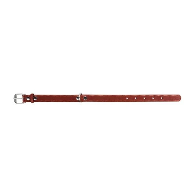 Шкіряний одинарний нашийник CoLLaR Ш 25 мм Д 38-50 см арт.02196 M