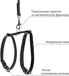 Шлея з повідцем для собак шкіряна WAUDOG Glamour з QR паспортом, Ш 9 мм, А 20-30 см, В 30-40 см (33991)