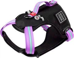 Шлея для собак безпечна Collar WAUDOG Nylon з QR паспортом, металічна пряжка-фастекс, S, Ш 20 мм, А 35-60 см, В 55-65 см (52479)