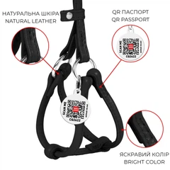 Кругла шкіряна шлея WAUDOG Glamour N1 з QR паспортом з повідцем для котів і дрібних собак 105 см 6 мм Чорна (34011)