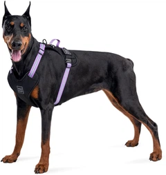 Шлея для собак безпечна Collar WAUDOG Nylon з QR паспортом, металічна пряжка-фастекс, M, Ш 20 мм, А 45-70 см, В 60-80 см (52499)