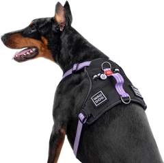 Шлея для собак безпечна Collar WAUDOG Nylon з QR паспортом, металічна пряжка-фастекс, M, Ш 20 мм, А 45-70 см, В 60-80 см (52499)