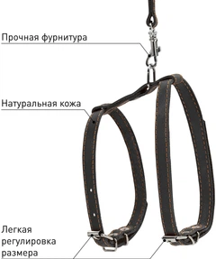 Шлея "CoLLaR" котяча з повідцем шкіряна на планшеті (ширина 12мм, А: 22-30см, В: 30-40см, довжина 122см), Чорний (05461)