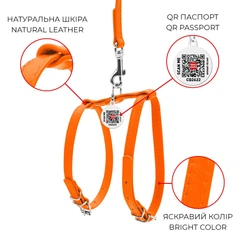 Шкіряна шлейка WAUDOG Glamour з повідцем для котів та дрібних собак, 115 см, 9 мм, помаранчева (33994)