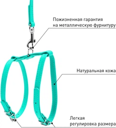 Шлея з повідцем для собак шкіряна WAUDOG Glamour з QR паспортом, Ш 12 мм, А 25-33 см, В 35-43 см (340013)