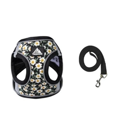 Шлея і повідець для собак і кішок XS Chamomile Black 4PawsStar, Chansin (85417275)
