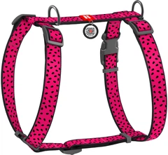 Шлейка для собак Collar анатомічна Н-подібна WAUDOG Nylon з QR-паспортом, пластиковий фастекс, М, Ш 20 мм, А 40-70, В 50-80 малюнок "Кавун" (5561)