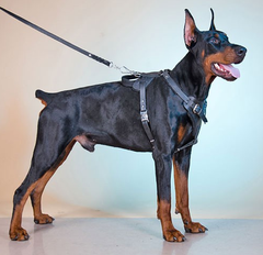 Шлейка для собаки M(30-44 см) Lockdog (2000002718673)
