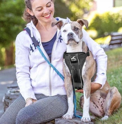 Шлея для собак Kurgo Tru Fit Smart Harness L 23-36 кг Black (0729849177512)
