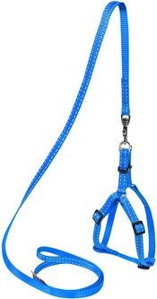 Collar Шлея "Dog Extreme" нейлон. регул. з повідцем (Ш: 15мм, В: 40-55см) Блакитна (07032)