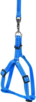 Collar Шлея "Dog Extreme" нейлон. регул. з повідцем (Ш: 15мм, В: 40-55см) Блакитна (07032)