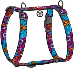 Шлея для собак Collar анатомічна Н-подібна WAUDOG Nylon з QR-паспортом, пластиковий фастекс, М, Ш 20 мм, А 40-70, В 50-80 малюнок "Літо" (5574)