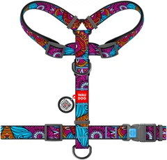 Шлея для собак Collar анатомічна Н-подібна WAUDOG Nylon з QR-паспортом, пластиковий фастекс, М, Ш 20 мм, А 40-70, В 50-80 малюнок "Літо" (5574)
