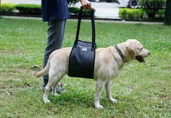 Підтримувальна шлея для спини та лап собак допомога в пересуванні DogLemi S