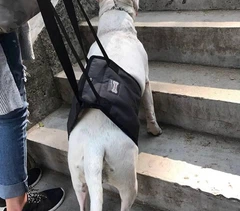 Підтримувальна шлея для спини та лап собак допомога в пересуванні DogLemi S