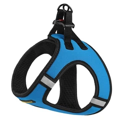 Амуніція Bronzedog Sport Vest Шлея для собак дрібних та середніх порід, блакитна 3XS (76102/Т)