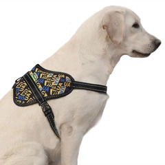 Шлея Hi Dog "Метелик" Молодіжний S обхват грудної клітини 40-55 см (2100103121010)