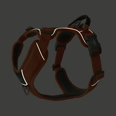 Шлея для собак Dog Copenhagen Comfort Walk Pro Harness помаранчева (M)