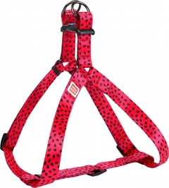 Шлея для собак анатомічна Collar WAUDOG Nylon з QR паспортом, малюнок "Кавун", пластиковий фастекс, S, Ш 15 мм, Дов 40-55 см, (5038)