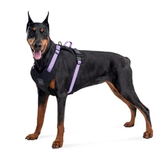 Collar Шлея для собак безпечна WAUDOG Nylon з QR паспортом, металічна пряжка-фастекс, M, Ш 20 мм, А 45-70 см, В 60-80 см фіолетовий