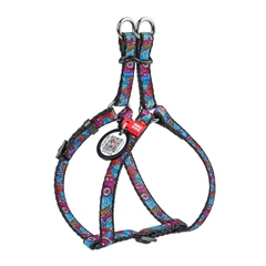 Collar Шлея для собак WAUDOG Nylon з QR паспортом, малюнок "Літо", пластиковий фастекс, Ш 10 мм, Дов 28-40 см