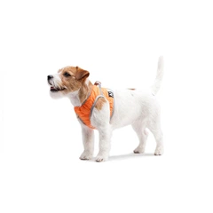 Airy Vest Шлея м'яка AiryVest ONE помаранчева розмір S2 для собак дрібних середніх порід цуценят мопсів французьких бульдогів джек-расселів світловідбиваюча анатомічна на липучці (29424)