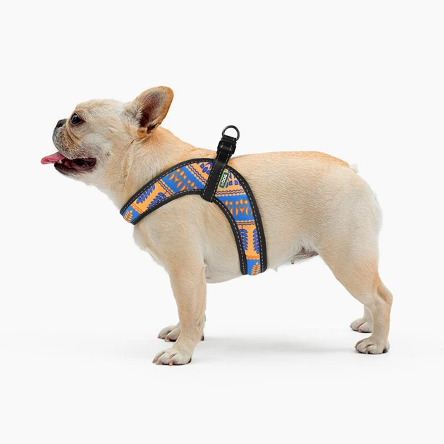 Hi Dog Шлея HIDOG COMFORT Колосок M 44-50см (138/1035)