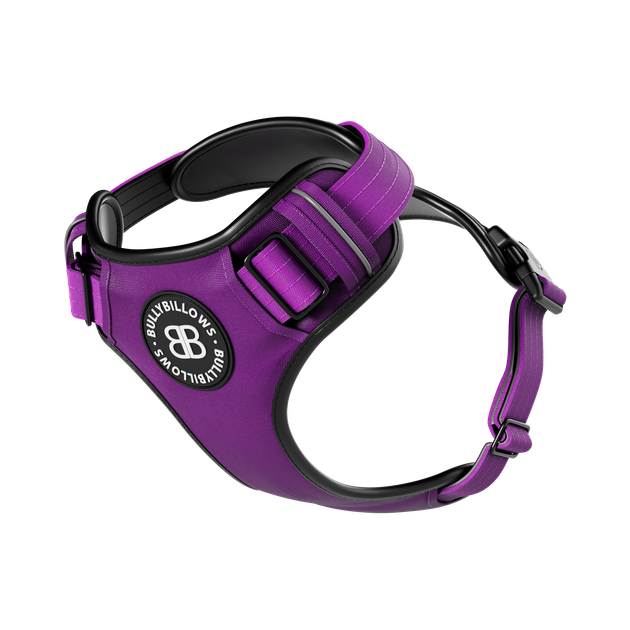 Анатомічна шлея для собак BullyBillows Premium Comfort Harness L: ОШ 39-66 см, ОГ 79-96 см Фіолетовий
