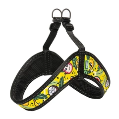Hi Dog Шлея HIDOG COMFORT Crazy yellow fruits XXS 28-34см (135/1057)