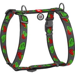 Шлея для собак WAUDOG Nylon з QR паспортом анатомічна Н-подібна "Калина" L (5160-0228)