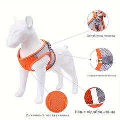 Без бренда Шлейка для малих собак і котів Air Mesh Reflective, дихаюча сітка, світловідбивна окантовка, регулювання, блакитна, розмір M (груди 38–45 см)