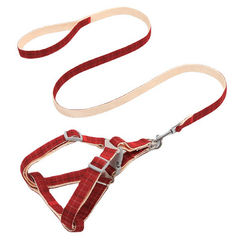 Без бренда Шлей для собак з повідцем Pipitao 165510 Cage Red 1.5х120 см з регулюванням розміру