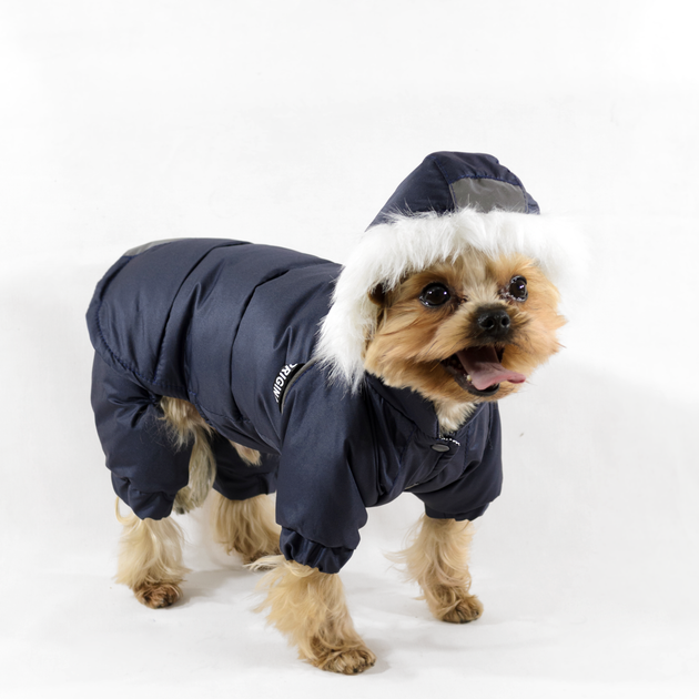 Lucky Pet Костюм Соло для породи Той тер'єр синій S №1, 25 х 28 см