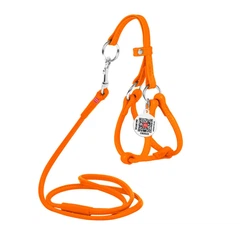 Collar Шлея з повідцем для собак шкіряний WAUDOG з QR паспортом, круглий, Д 6 мм, А 26-46 см, 30-50 см помаранчевий