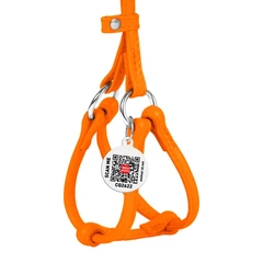 Collar Шлея з повідцем для собак шкіряний WAUDOG з QR паспортом, круглий, Д 6 мм, А 26-46 см, 30-50 см помаранчевий