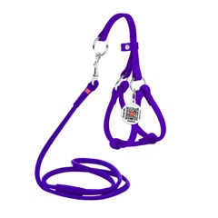 Collar Шлея з повідцем для собак шкіряний WAUDOG з QR паспортом, круглий, Д 6 мм, А 26-46 см, 30-50 см фіолетовий